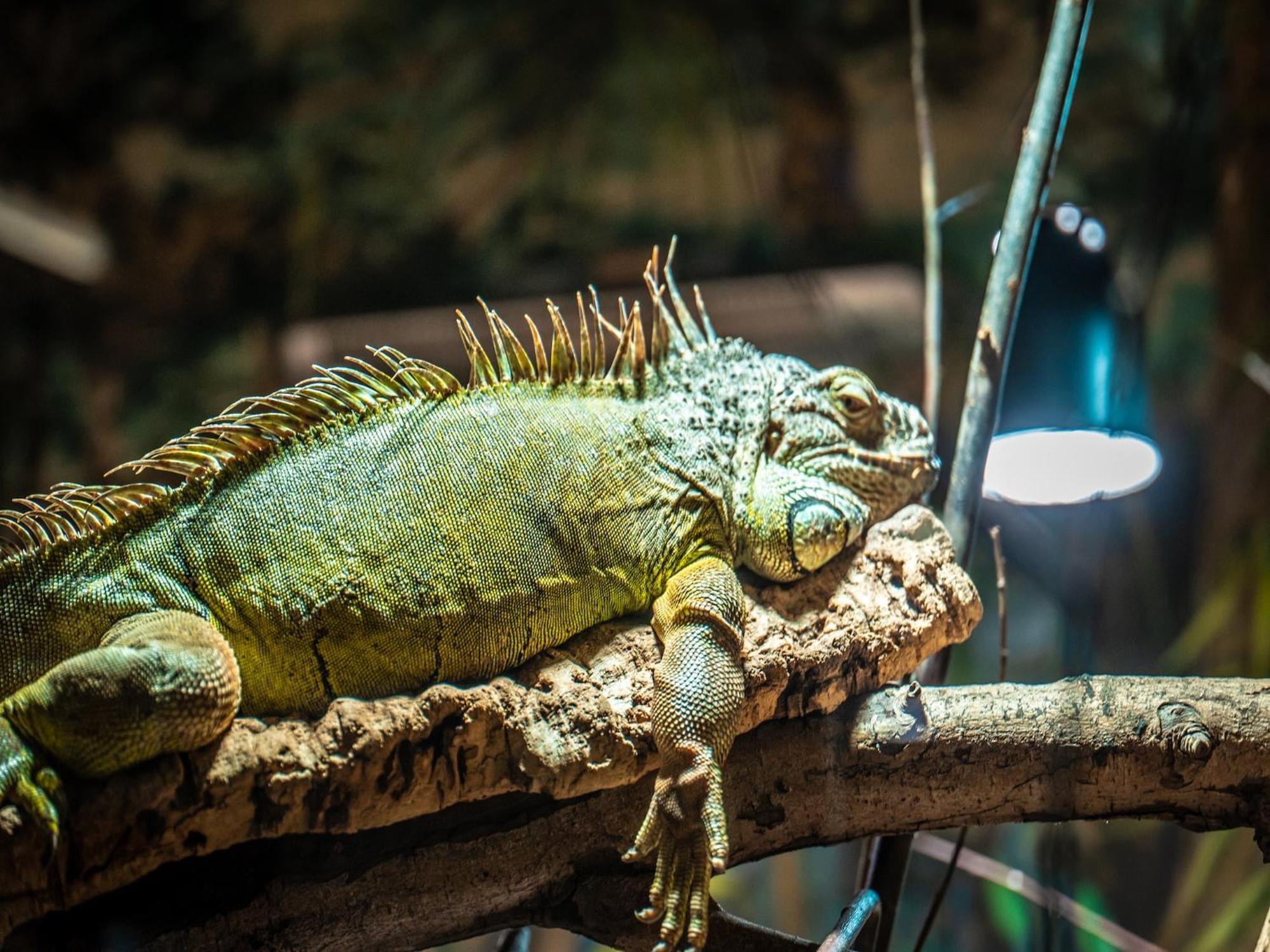 Appartements Im Freizeitpark Weissenhaeuser Strand エクステリア 写真